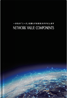 Network Value Components